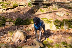 zara-in-der-pfalz-1-web